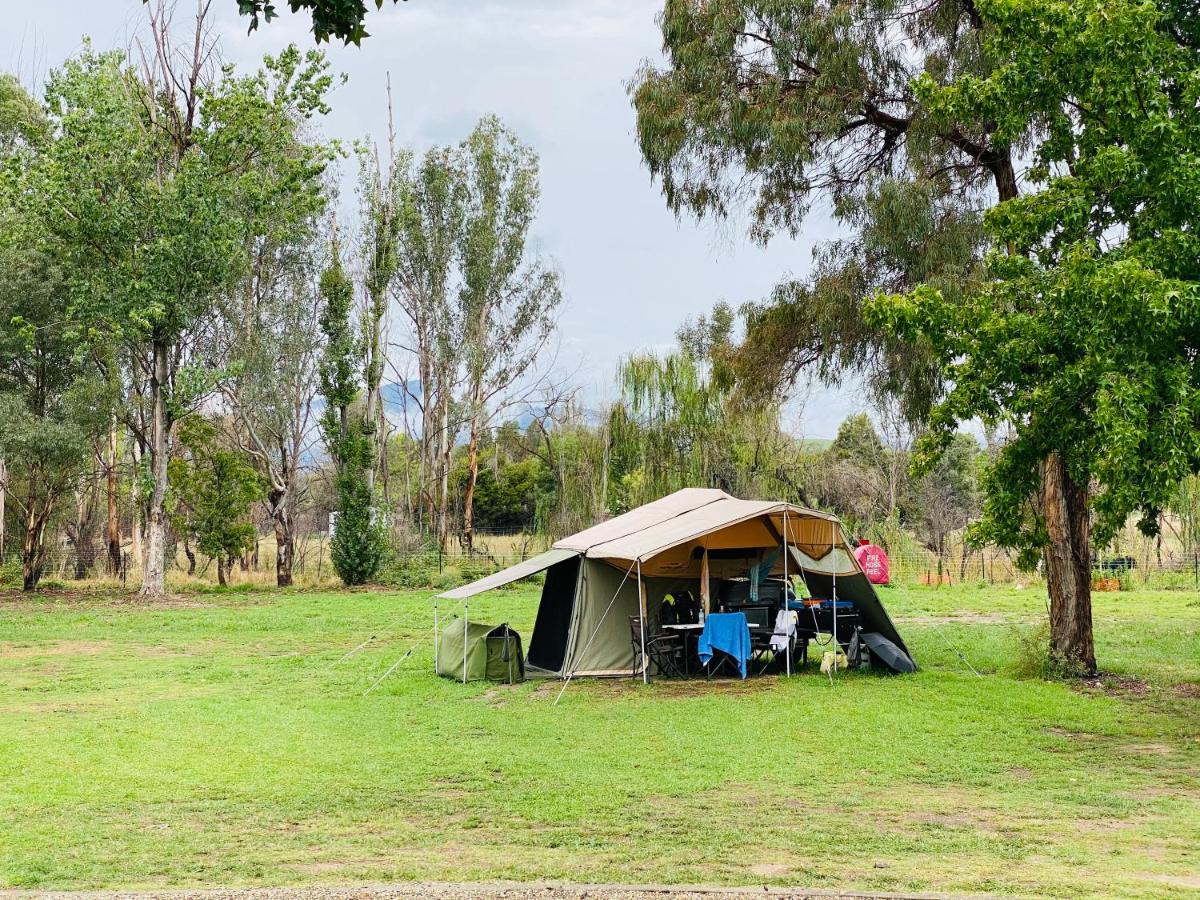 Corryong Caravan Park Formally Mt Mittamatite Caravan Park Екстер'єр фото